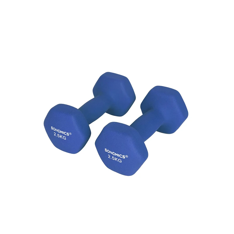 Lot de 2 haltères antiglisse pour musculation entraînement maison 18 x 8,5 x 8 cm en fonte bleu 12_0009085