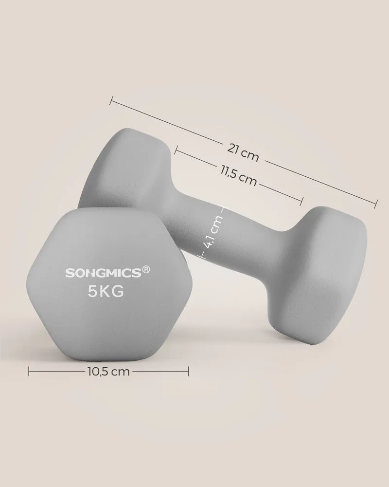 Lot de 2 haltères hexagonaux pour entraînement fitness 21 x 10,5 cm en fer gris 12_0010993