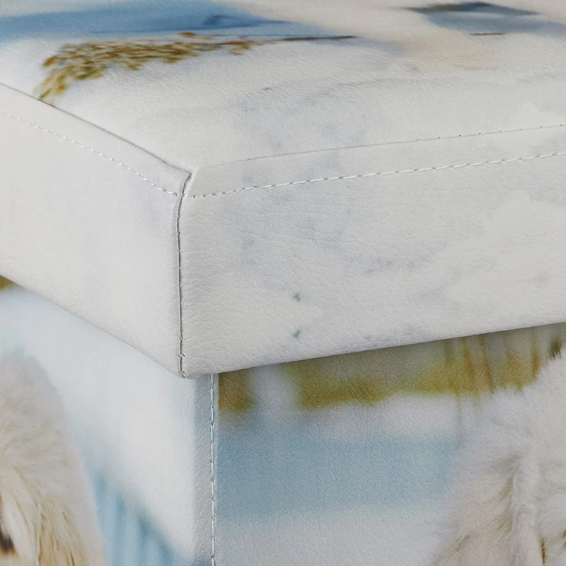Tabouret avec rangement motifs pouf cube pliant pliable rembourré synthétique 13_0002758