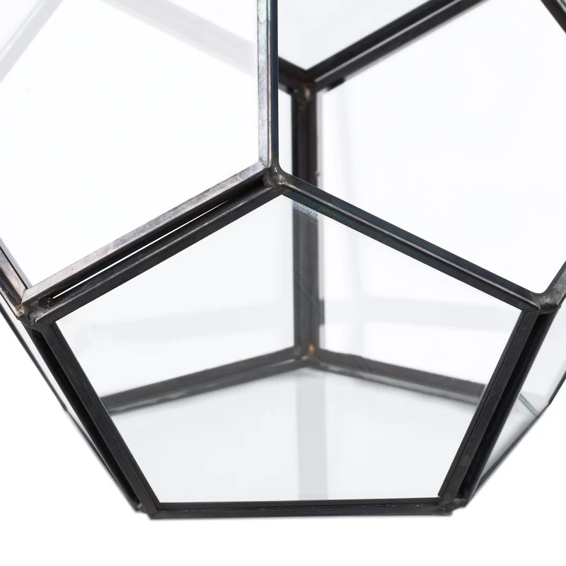 Terrarium de forme originale plantes succulentes 12 x 14 x 14 cm en verre transparent 13_0017389