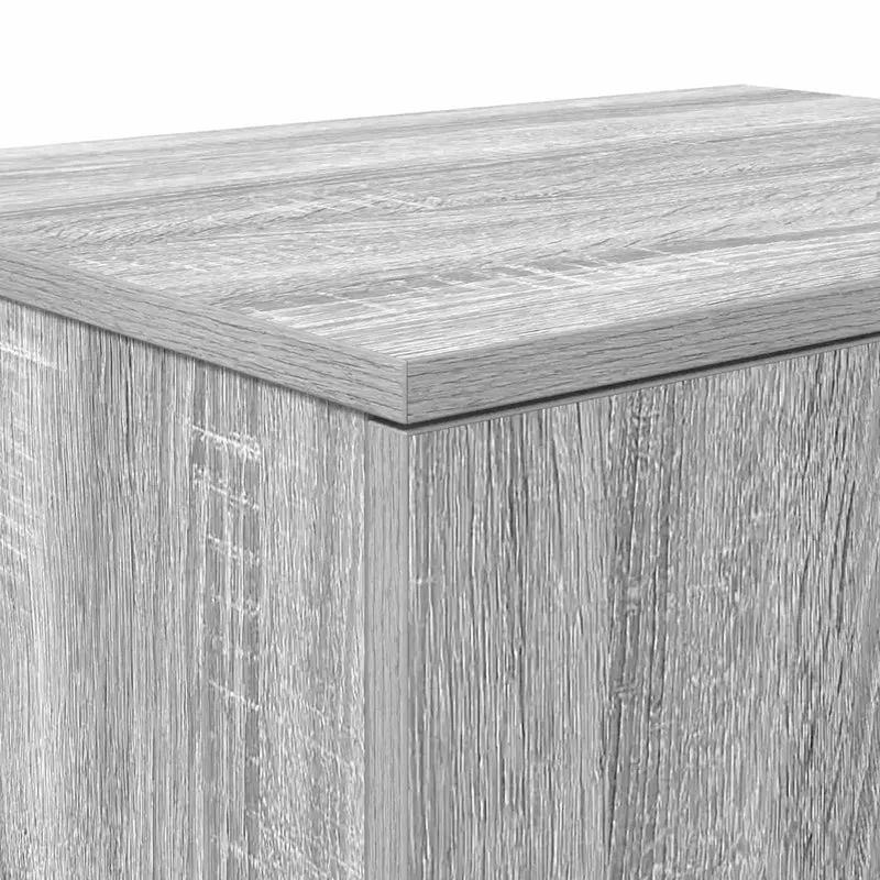 Armoire de rangement moderne 118 x 41 x 40 cm flexible et durable design minimaliste en bois d'ingénierie gris sonoma 02_0052115