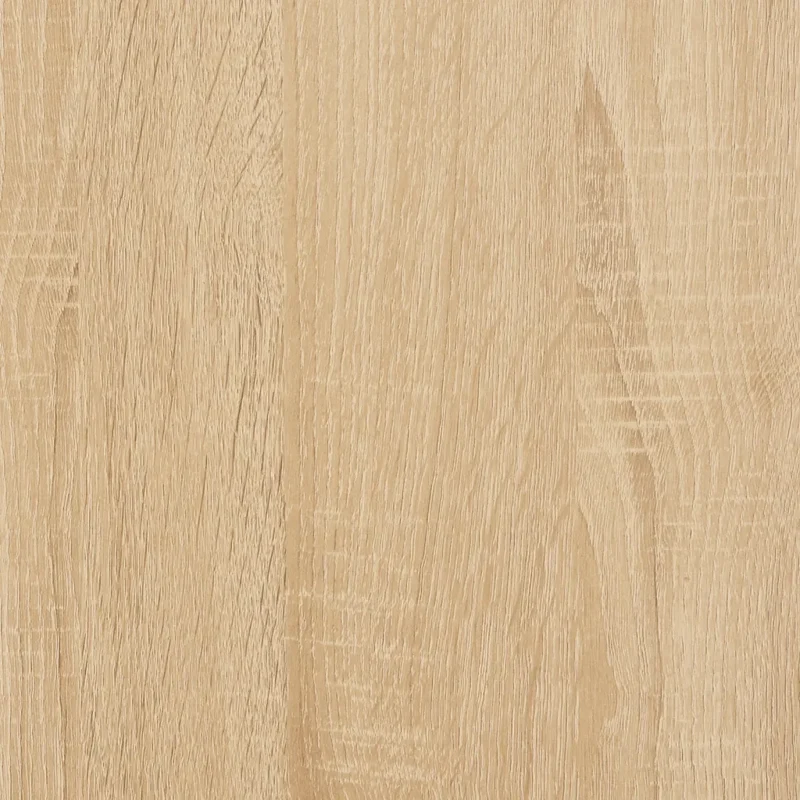 Armoire à disques pratique meuble de rangement salon 100 x 38 x 48 cm en bois d'ingénierie chêne sonoma 02_0049217